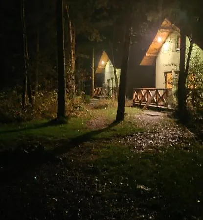 Niezapominajka Jura *