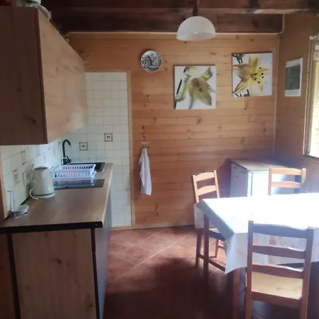 Niezapominajka Jura Сasa de vacaciones *