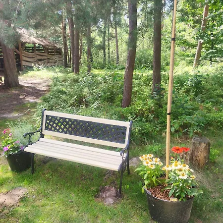Niezapominajka Jura Сasa de vacaciones