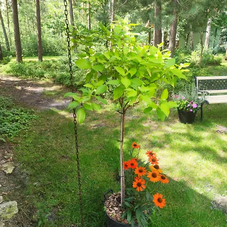 Σπίτι διακοπών Niezapominajka Jura Niegowa