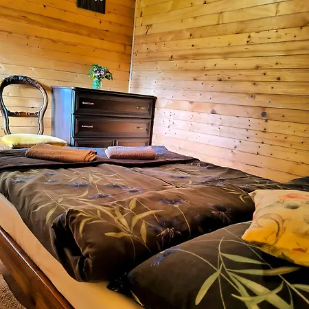 Niezapominajka-jura *