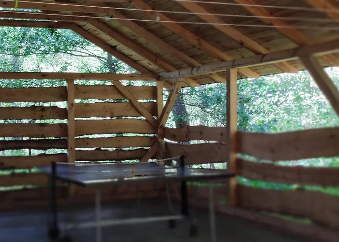 Niezapominajka Jura Niegowa