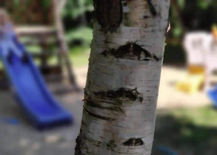 Niezapominajka Jura Casa vacanze Niegowa