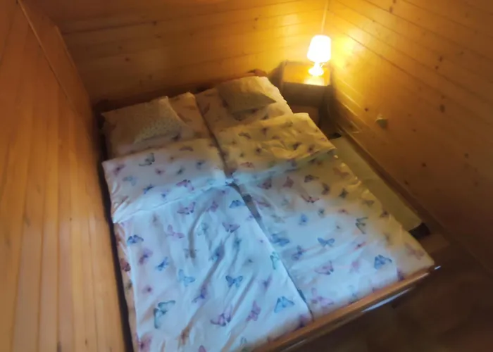 Niezapominajka Jura * Niegowa