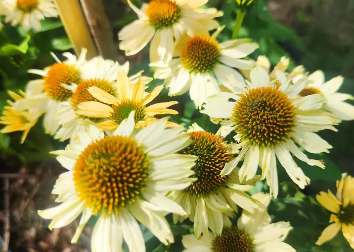 Σπίτι διακοπών Niezapominajka Jura *