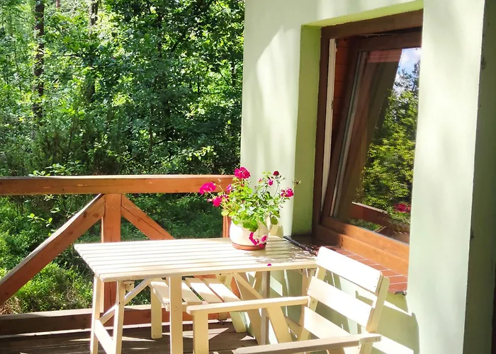 Niezapominajka Jura *