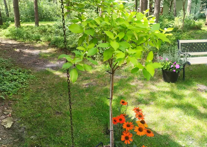 Casa vacanze Niezapominajka Jura Niegowa